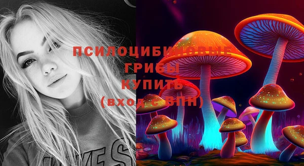 таблы Алзамай