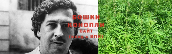 гидропоника Елабуга