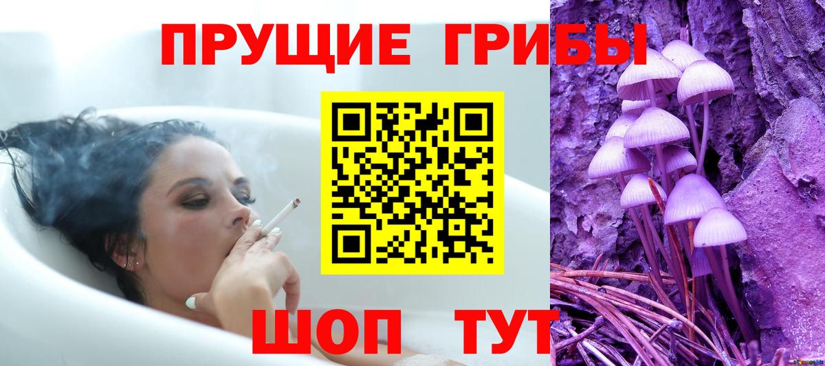 Псилоцибиновые грибы Psilocybine cubensis Звенигород